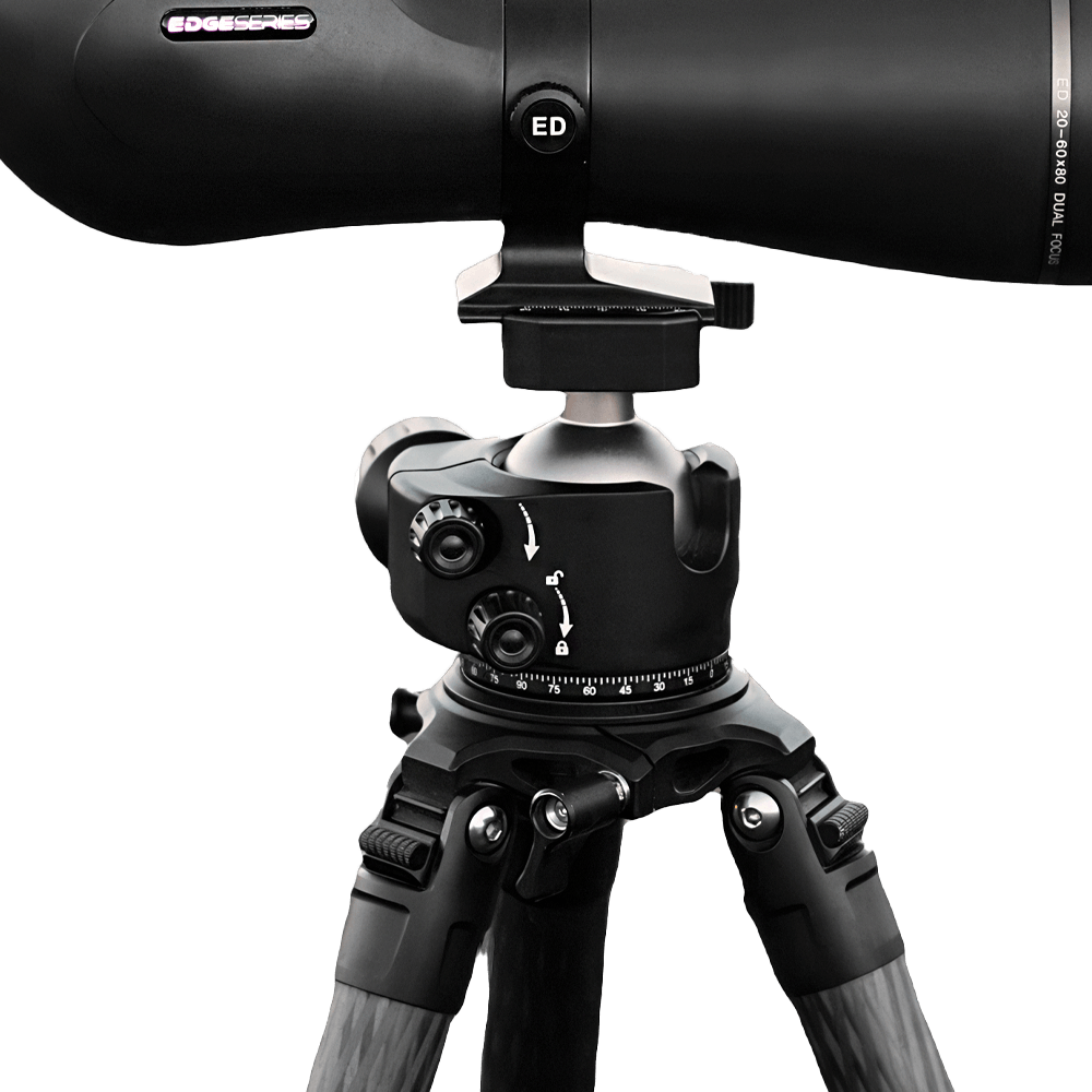 Competition Tripod & Ball Head Combo